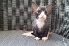 20160808_201651 20160808_201651