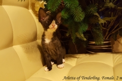 20160905_115835 20160905_115835