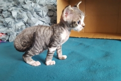 20160804_122509 20160804_122509