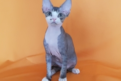 unnamed-file unnamed-file