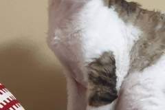 1_received_106473997471869 1_received_106473997471869