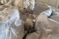 20200523_200921 20200523_200921