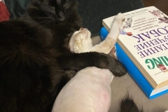 20200523_200935 20200523_200935