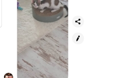 20200728_075201 20200728_075201