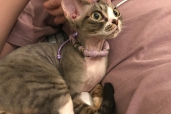 20200728_224656 20200728_224656