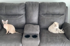 20200907_212010 20200907_212010