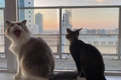 20201009_235325 20201009_235325