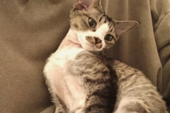 20201009_235418 20201009_235418