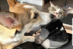 20201219_003552 20201219_003552