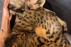 20201224_055609 20201224_055609