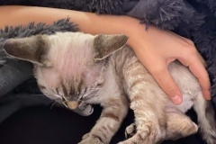 20201224_055632 20201224_055632