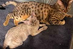 20201224_055707 20201224_055707