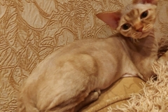 20201224_055740 20201224_055740