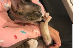 20201224_072924 20201224_072924