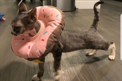 20201224_073003 20201224_073003