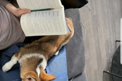 20201224_073026 20201224_073026