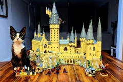 FB_IMG_1554993450473 FB_IMG_1554993450473