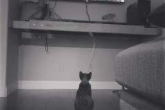 FB_IMG_1570876160061 FB_IMG_1570876160061