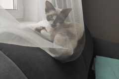 IMG-20200907-WA0000 IMG-20200907-WA0000