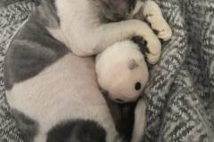 IMG-390e0f96f3fe6634153046c46f6c4bc5-V IMG-390e0f96f3fe6634153046c46f6c4bc5-V