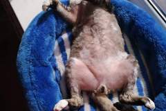 IMG-4b087756a9a80db9c23c35710a3f6231-V IMG-4b087756a9a80db9c23c35710a3f6231-V