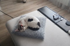 IMG-4de50777e1cb25d9e6f22b4b2b818f07-V IMG-4de50777e1cb25d9e6f22b4b2b818f07-V