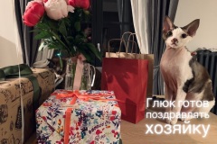 IMG-788cc2e37df29c18f99b97d139dca14b-V IMG-788cc2e37df29c18f99b97d139dca14b-V