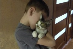 IMG-8d86bb01c866a66aa5c1e2cfddf60111-V IMG-8d86bb01c866a66aa5c1e2cfddf60111-V