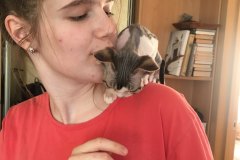 IMG-a907c95c4139b42e8e38c707978afe3c-V IMG-a907c95c4139b42e8e38c707978afe3c-V