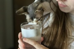 IMG-d15d0725094f14a6e48639bcf0653746-V IMG-d15d0725094f14a6e48639bcf0653746-V