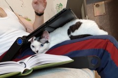 IMG-f7bbd11b6ef3161f63ec6e7f0c78660b-V IMG-f7bbd11b6ef3161f63ec6e7f0c78660b-V