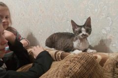 IMG-ffe5cdaea65b9c7efccfb67b6bbf934a-V IMG-ffe5cdaea65b9c7efccfb67b6bbf934a-V