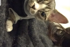 Screenshot_20201011-084000_Instagram Screenshot_20201011-084000_Instagram