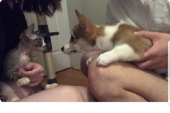 Screenshot_20201222-224553_Instagram Screenshot_20201222-224553_Instagram