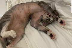 Screenshot_20210103-190003_Instagram Screenshot_20210103-190003_Instagram