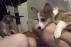 mmexport1599497693589 mmexport1599497693589