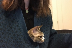 mmexport1599543826676 mmexport1599543826676