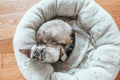 received_1343134212693774 received_1343134212693774