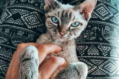 received_3848661571811184 received_3848661571811184