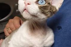 received_418417152410284 received_418417152410284