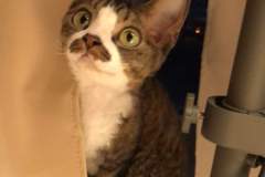 received_438169513510419 received_438169513510419