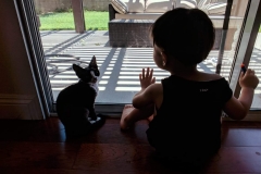 received_450966182081507 received_450966182081507