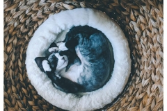 received_647799798917176 received_647799798917176