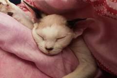 received_663425750903156 received_663425750903156