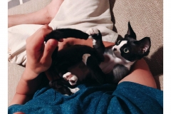 received_905268633014060 received_905268633014060