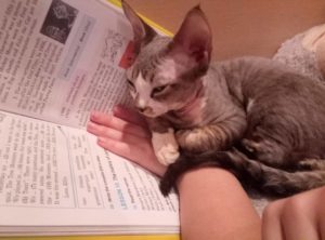 15491704_1186980011391817_1507638442_o